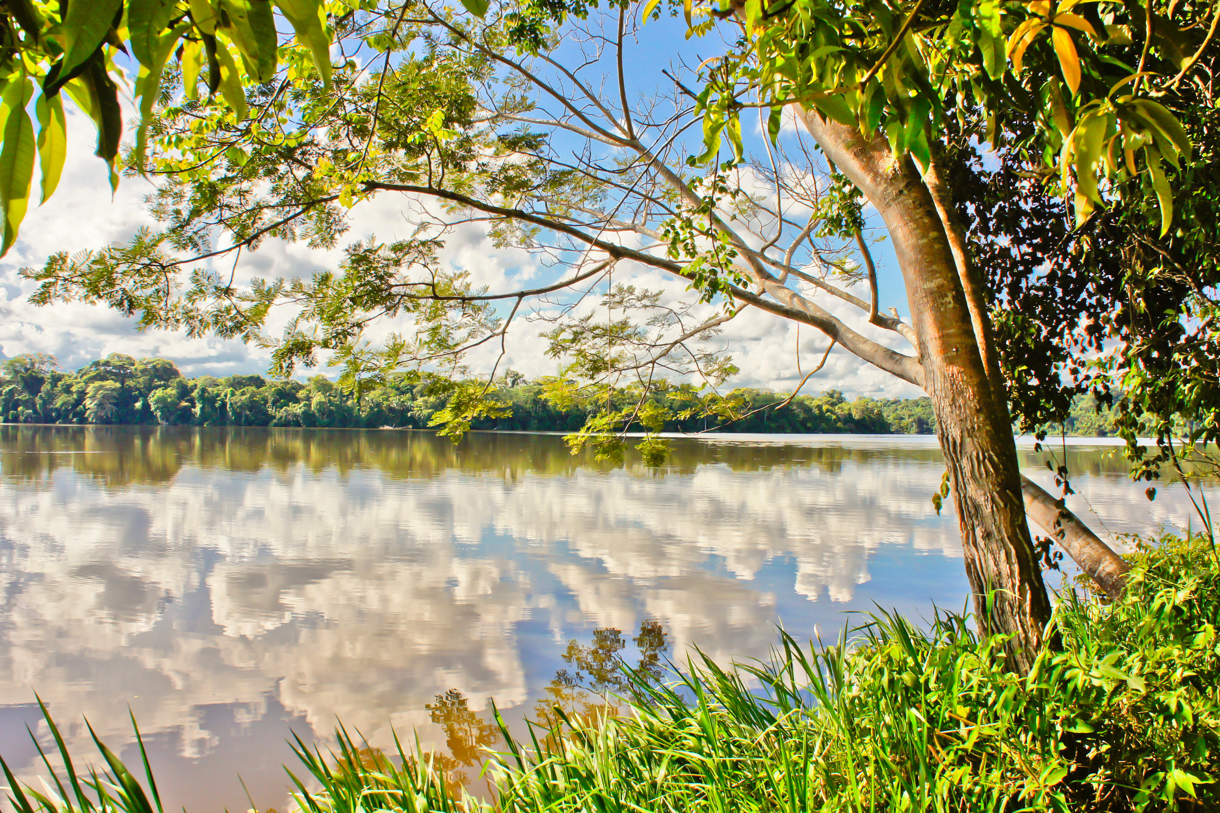 tambopata reserve (2).webp